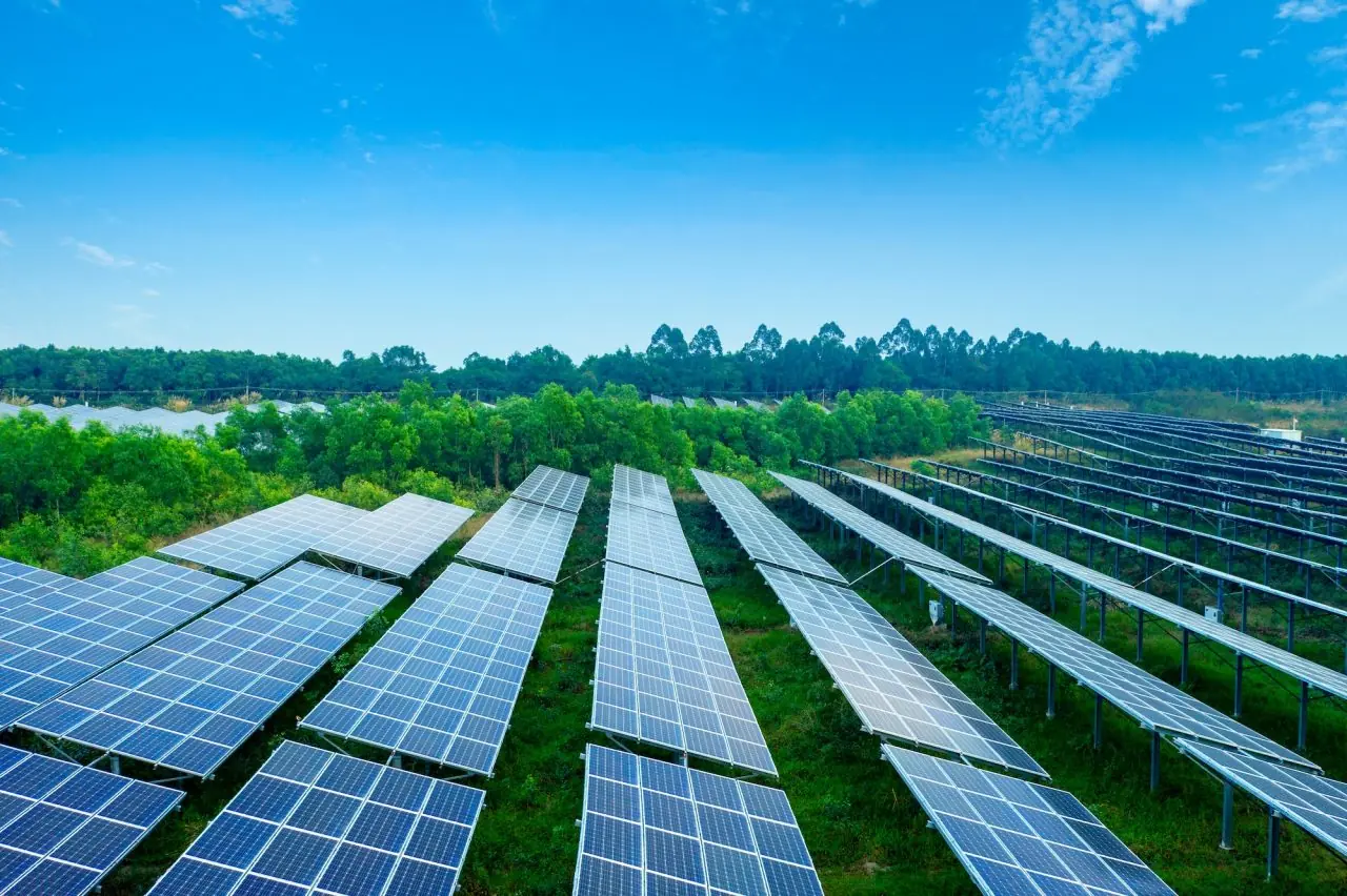 Future of Sustainability